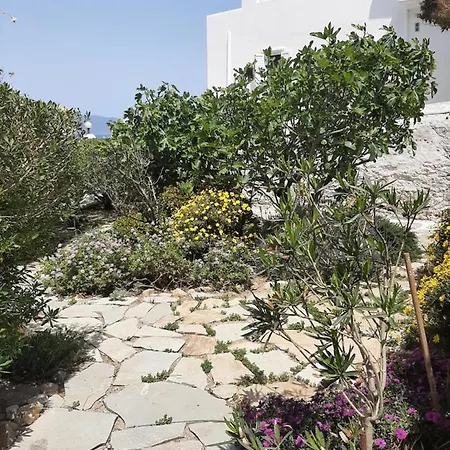 게스트하우스 Angela's Mykonos Town