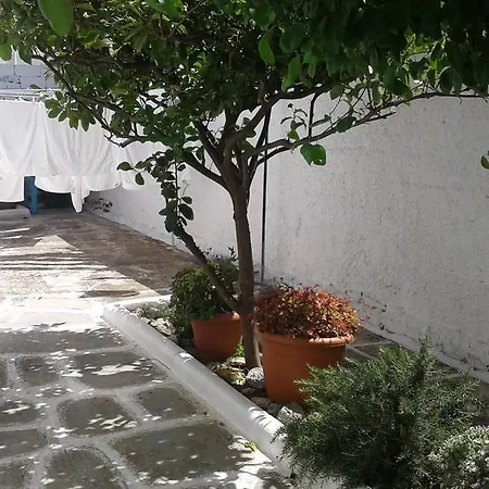 Angela's 게스트하우스 Mykonos Town